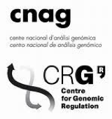 Logo Cnag